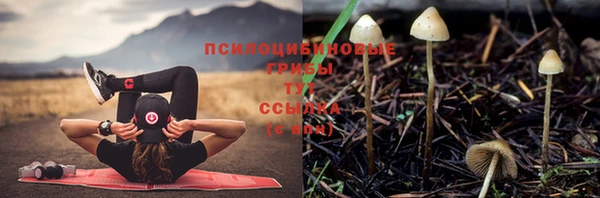 кокс Алзамай