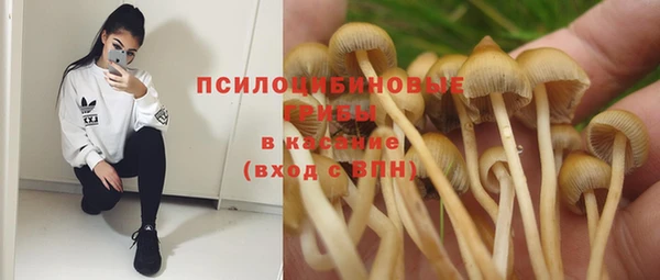 кокс Алзамай