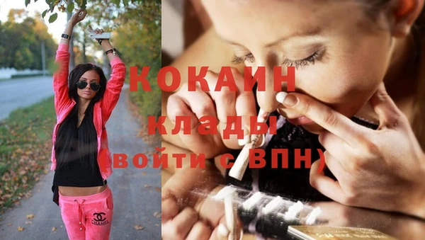 кокс Алзамай